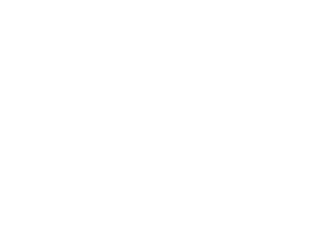 Quimicolla Adesivos